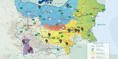 Зураг болгар дарс